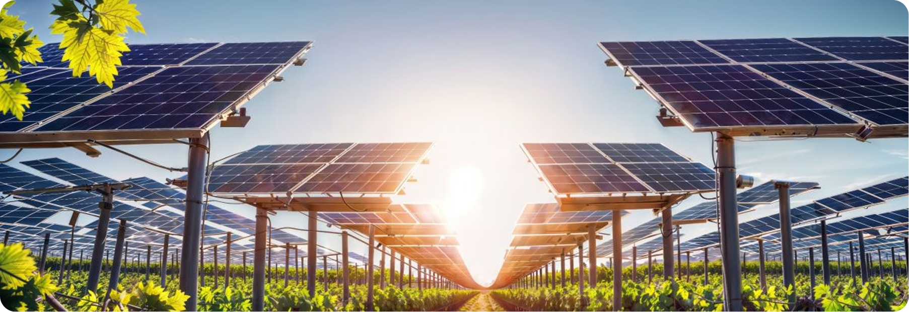 Điện mặt trời nông nghiệp